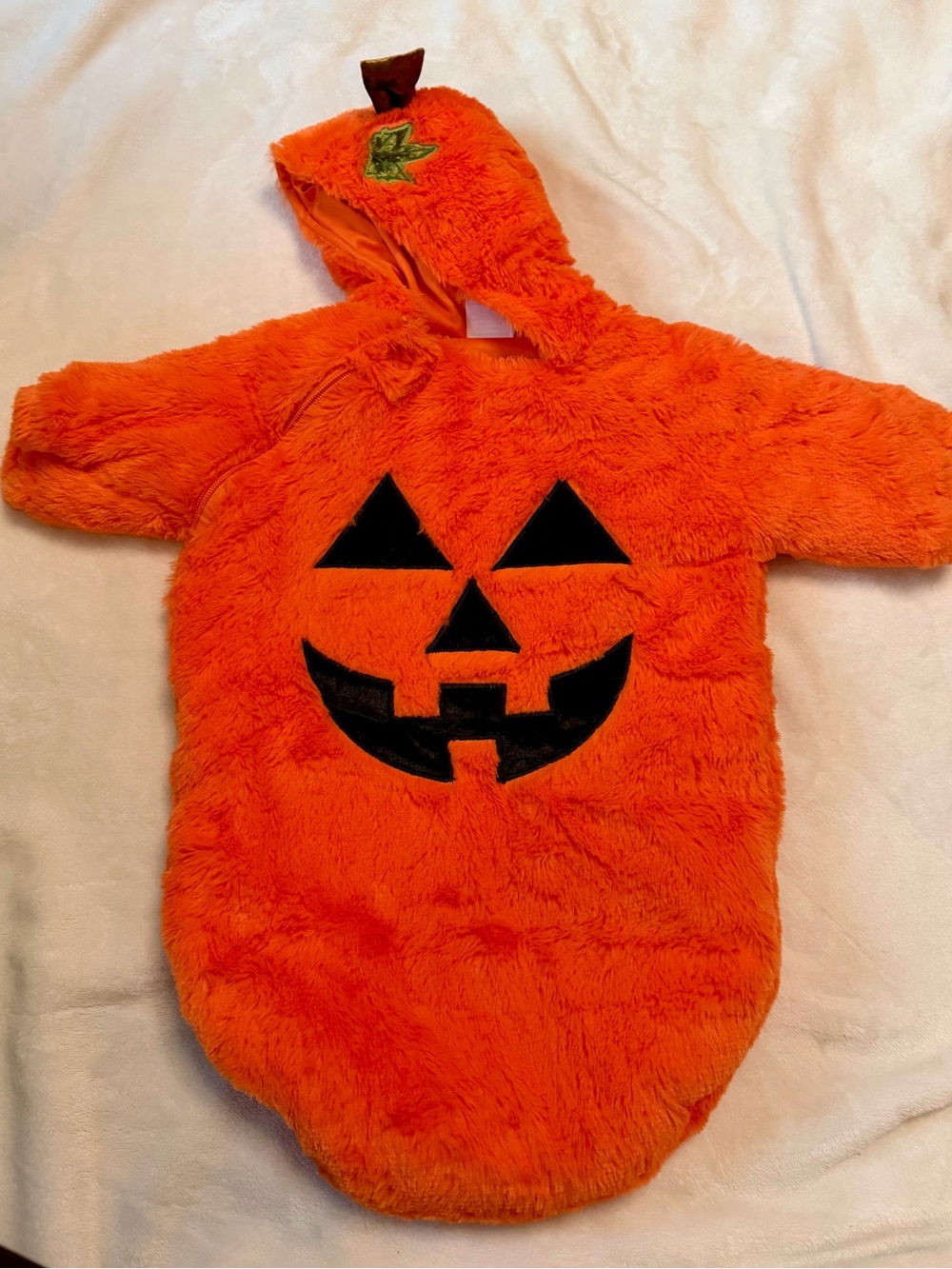 Pumpkin bunting Halloween costume